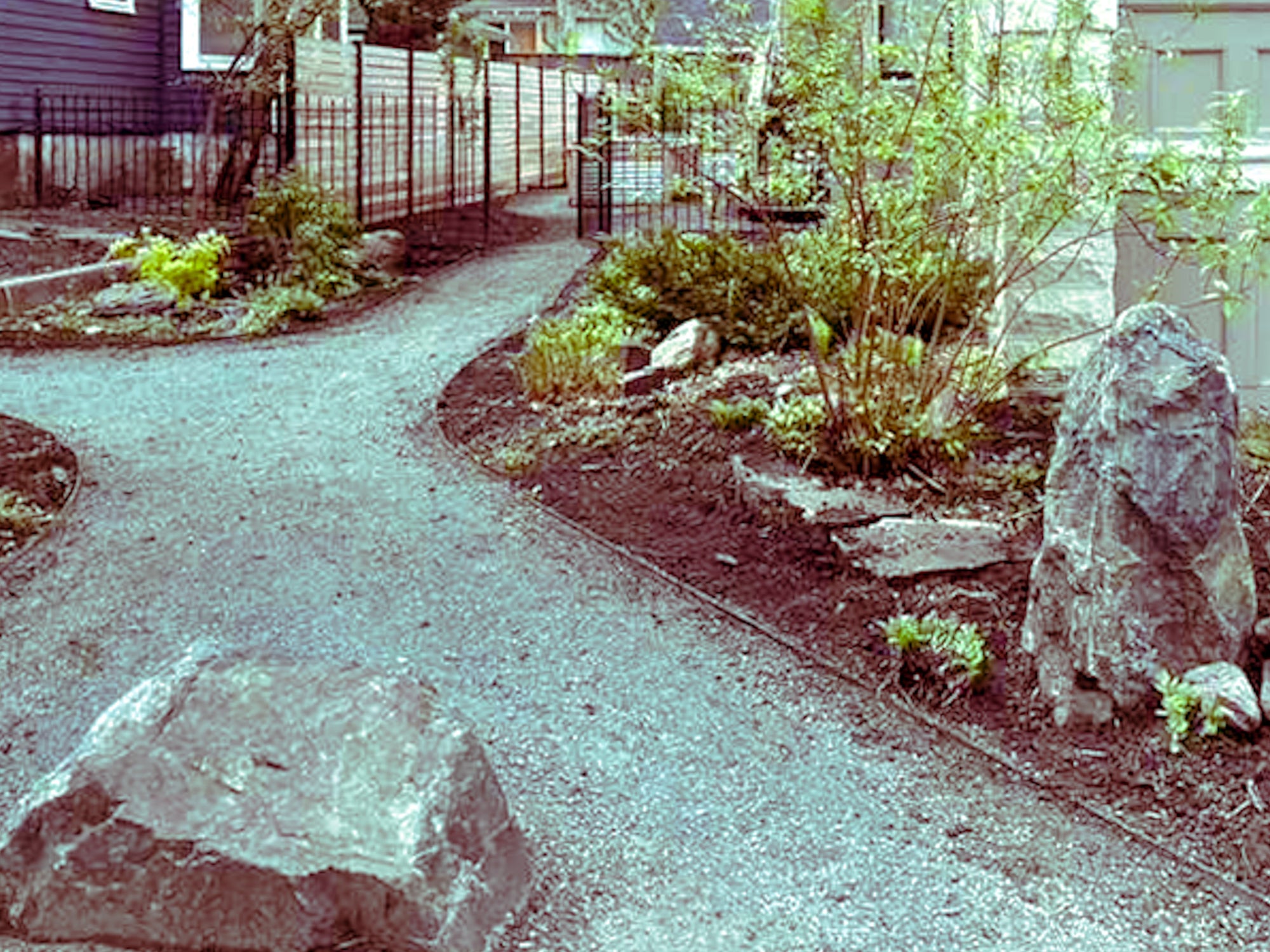 Urban patio installation in Minneapolis with clean grading, structured planting design, and modern outdoor living space.