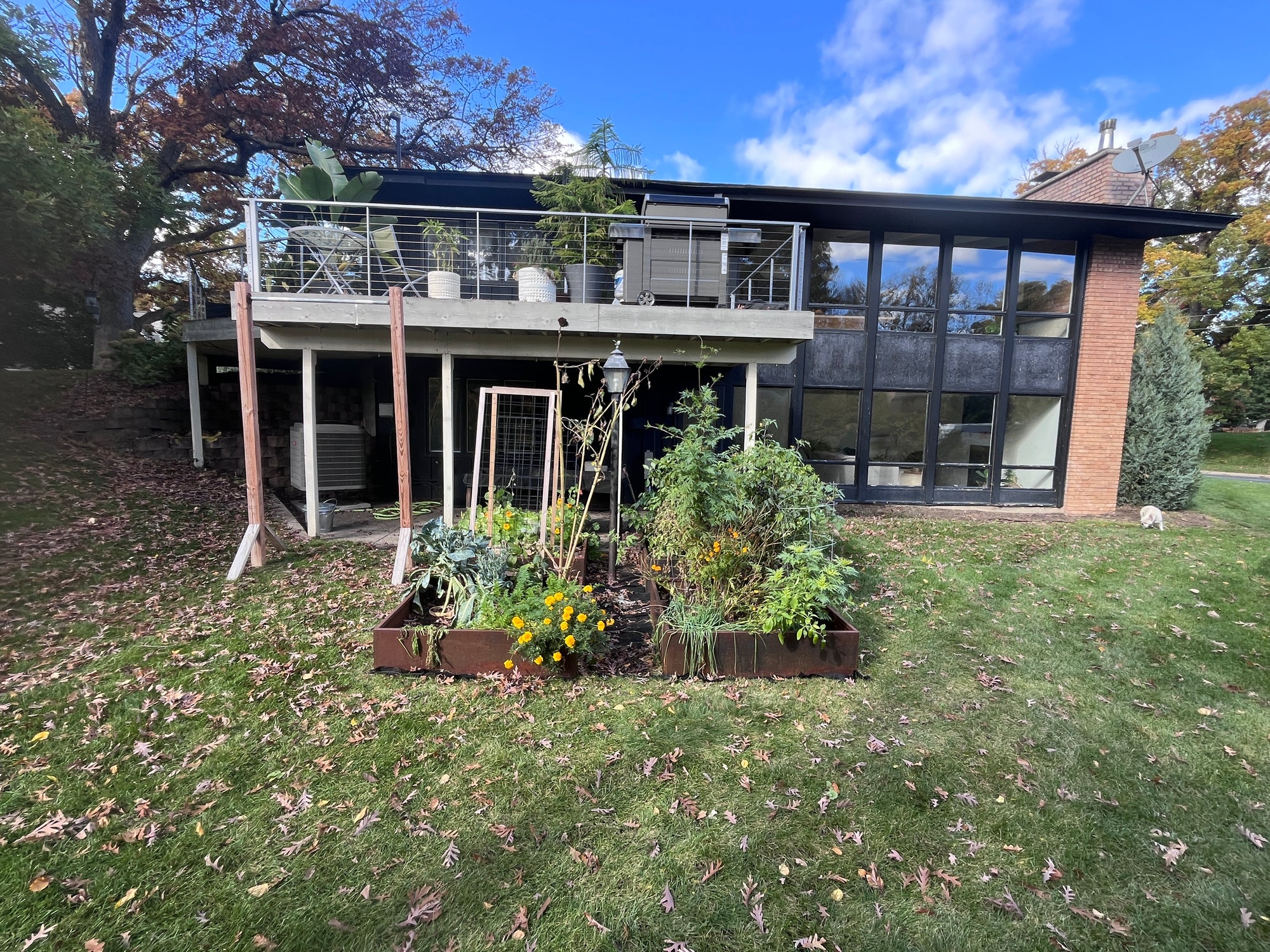 Backyard garden area during pre-demolition and layout for new fire pit patio and seating space in Edina Minnesota